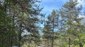 A gravel path leading to a mobile home in a wooded area. - Cozy Northwoods property (Crivitz)