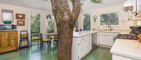 Microwave, oven, stovetop, dishwasher