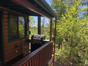 Property grounds - Private Year Round Getaway Cabin with WiFi in Pinetop-Lakeside (Pinetop-Lakeside)
