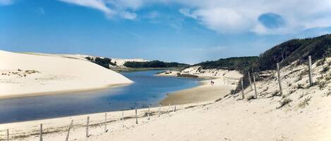 Playa