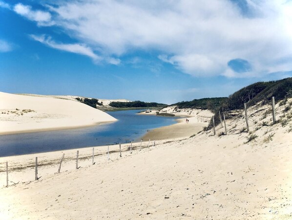 Strand