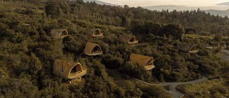 A cluster of treehouse accommodations nestled in a forested hillside.