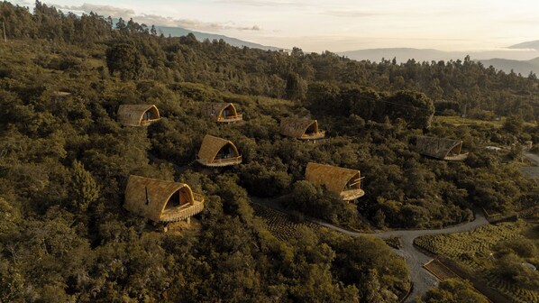 A cluster of treehouse accommodations nestled in a forested hillside. - Hotel Casa Selvaggio (Ráquira)