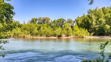 Une rivière aux eaux limpides, bordée d’arbres verdoyants et dense, sous un ciel bleu azur.