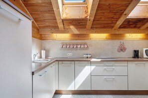 Kühlschrank, Mikrowelle, Herdplatte, Geschirrspüler