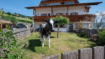 Esterni