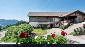 A rustic building with a sloped roof, a covered porch, and a paved driveway. - Apartment 'Kornblume' with Mountain View, Shared Garden and Wi-Fi (Meltina)