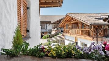 DĂ©tail de lâextĂ©rieur