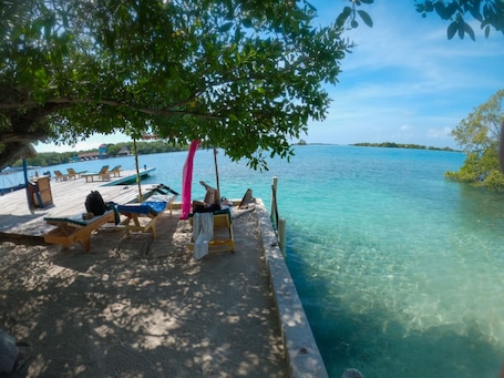 Ćrea da propriedade