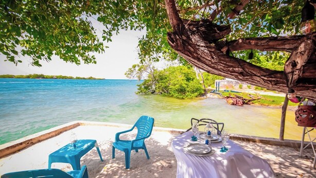Una mesa para dos bajo un árbol, frente a un mar tranquilo, con sillas y mantel.