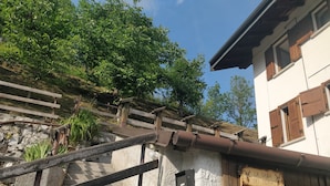 Detalle exterior
