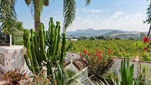 Un jardín con cactus, flores y vistas a colinas distantes.
