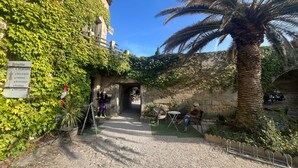 Un chemin pavé de pierres menant à un bâtiment dont les murs sont recouverts de lierre et près duquel se trouve un palmier.