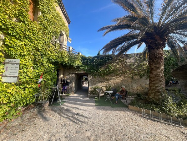 Un camino empedrado que conduce a un edificio con muros cubiertos de hiedra y una palmera.