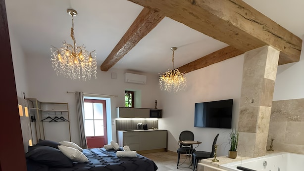 Une pièce spacieuse comprenant un lit, un coin salon, une cuisine et une salle de bain avec baignoire.