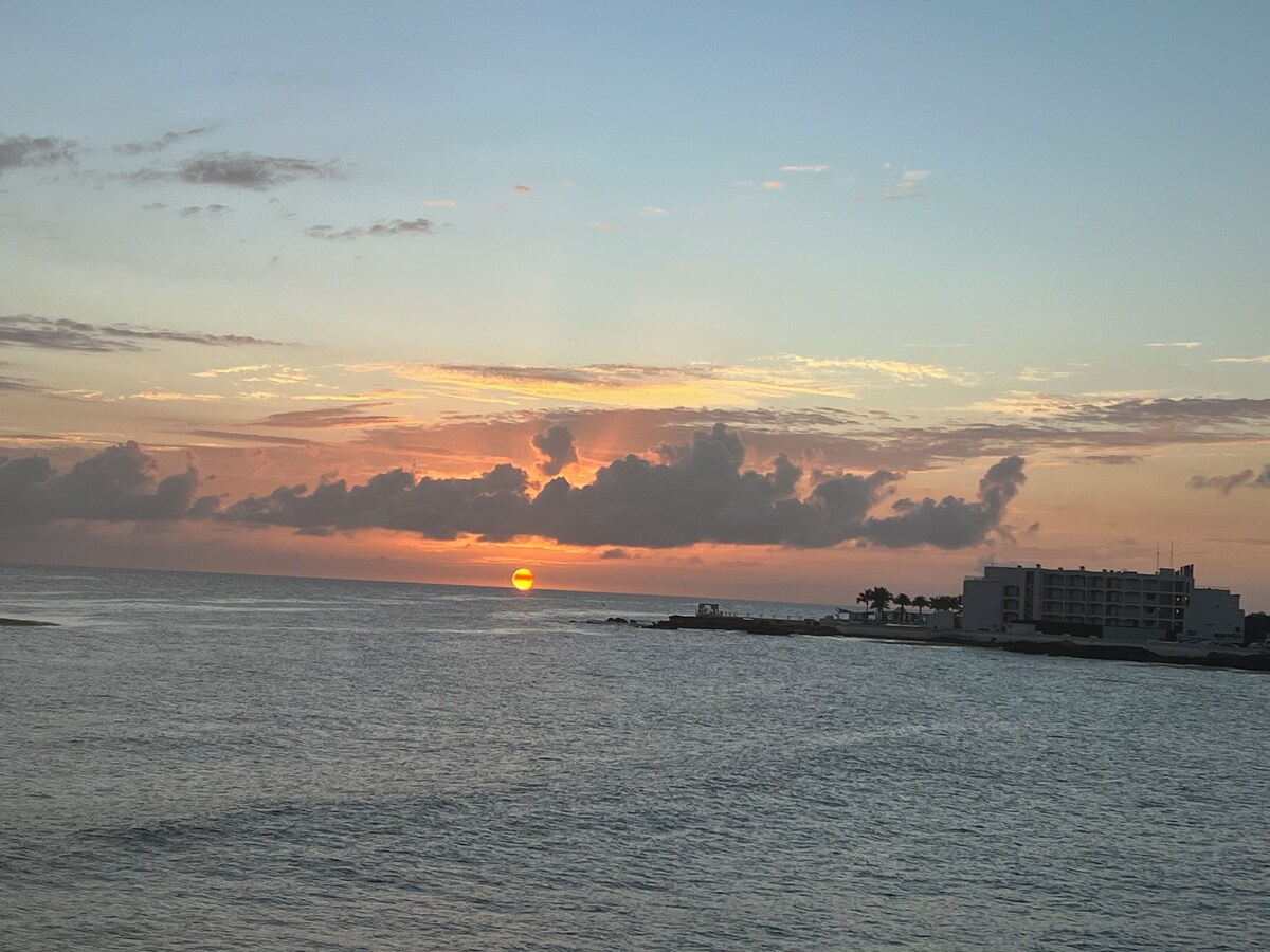 Imagen de perfil del propietario o de la propietaria