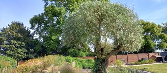 Gîte 'Chez Gwen Et Flo' with Shared Terrace, Shared Garden, and Wi-Fi