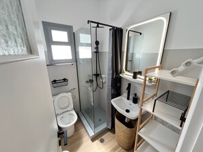 Shower, hair dryer, towels