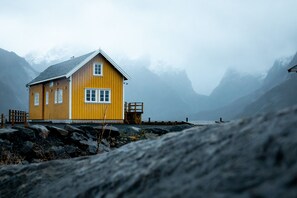Esterni