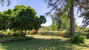 Un jardín bien cuidado con diversas especies de árboles y arbustos, un sendero de piedra y un cielo despejado.