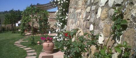 Terrein van de accommodatie