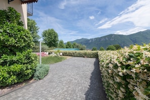 A paved pathway leading to a building with a green roof, surrounded by lush greenery and mountains in the background.