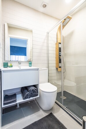 Shower, hair dryer, towels