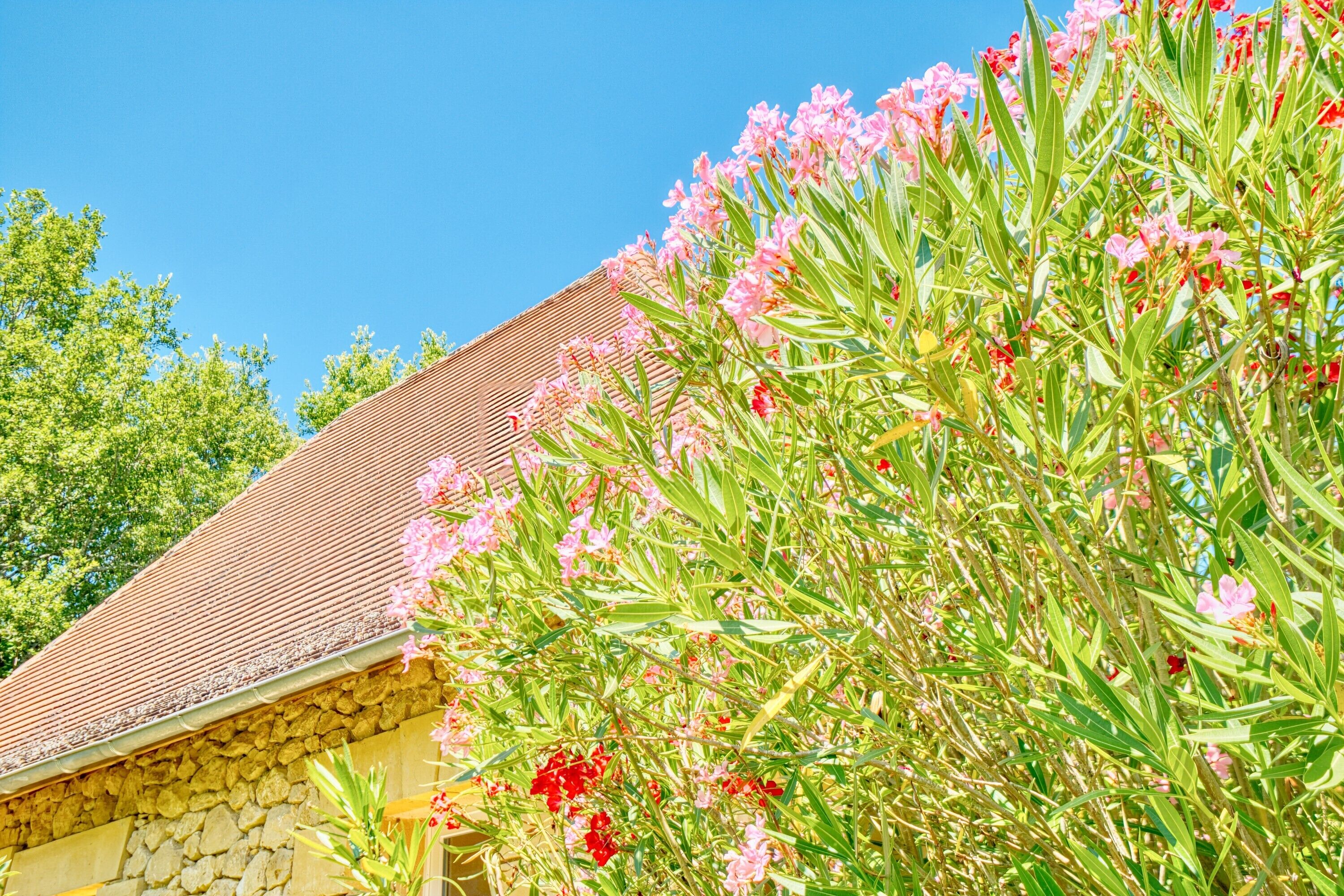 Terrein van de accommodatie