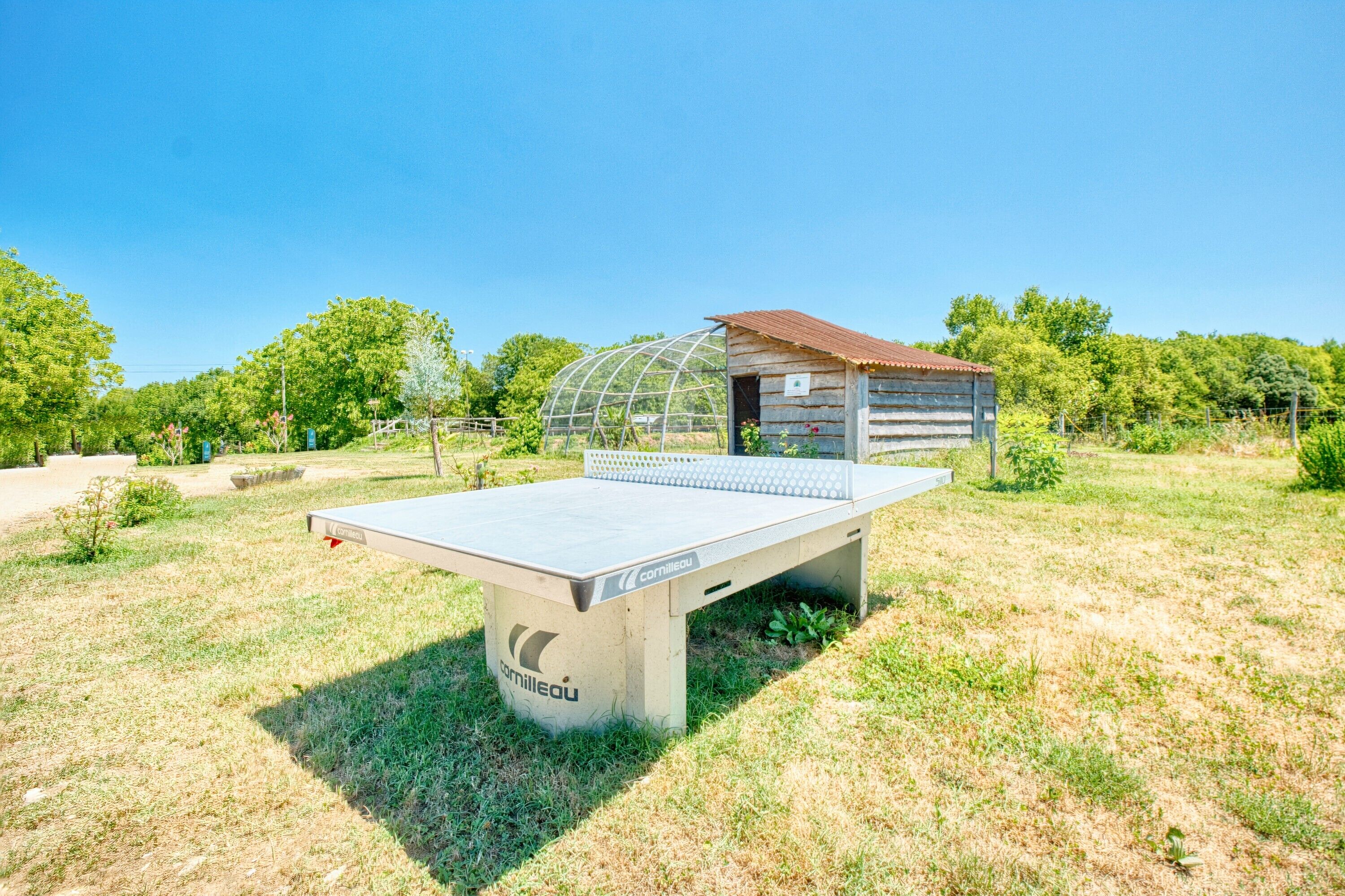 Une table de ping-pong installée à l’extérieur, avec une structure en bois en arrière-plan.