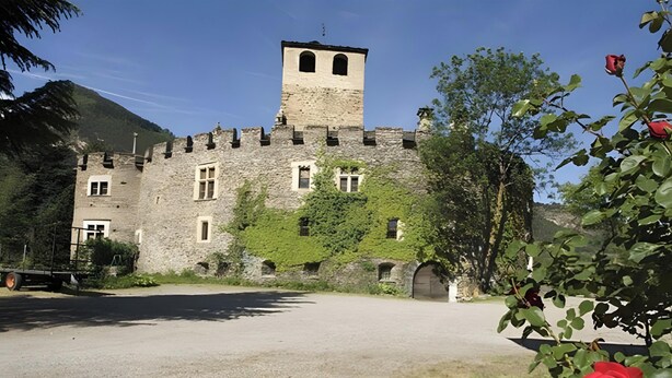 Un edificio storico in pietra con una torre, finestre ad arco e mura ricoperte d'edera.