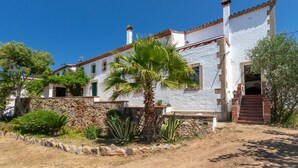A white building with a stone wall, a palm tree, and a staircase leading to a door.