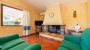 TV, fireplace, table tennis