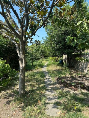 Property grounds - Room 'Ulivo' with Sea View, Shared Garden and Wi-Fi (Sasso di Bordighera)