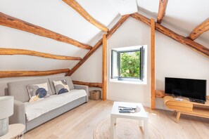 TV, fireplace - Holiday Home 'L'authentik' with Mountain View, Private Terrace and Air Conditioning (Accous)