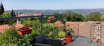 D'ouro Relax Prestige Apartment with Views of the Douro Vineyards