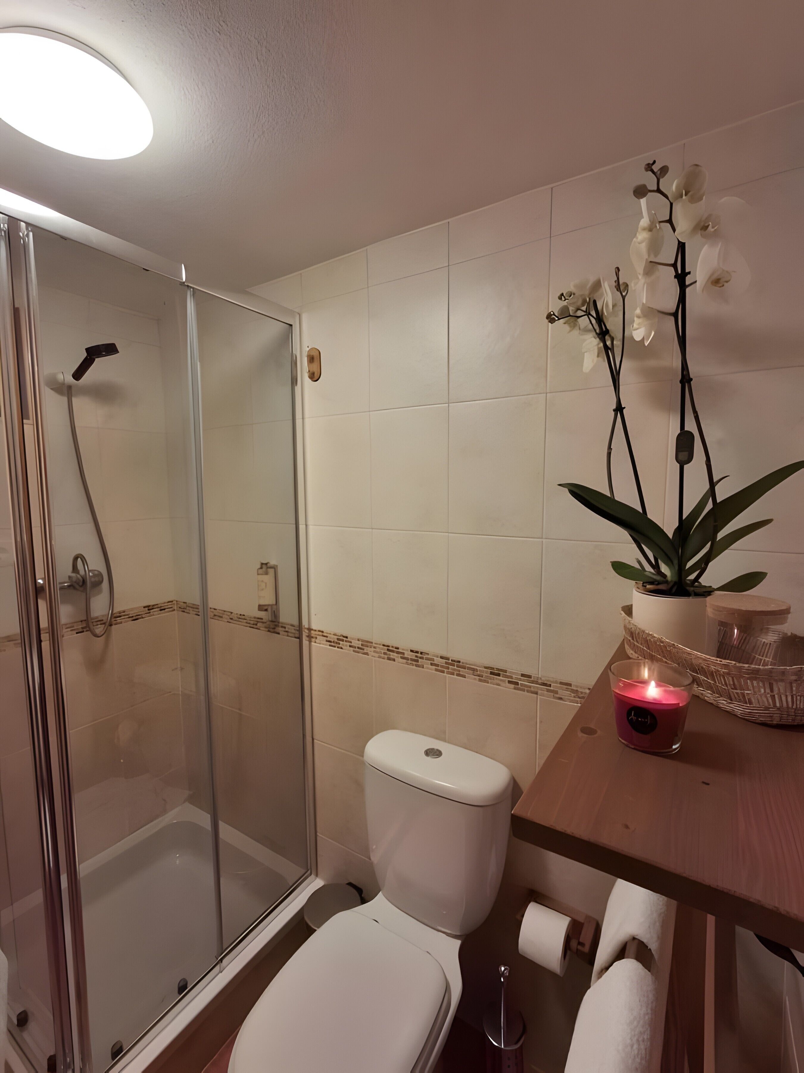 A bathroom with a glass shower enclosure, a toilet, a sink with a candle, and an orchid plant.