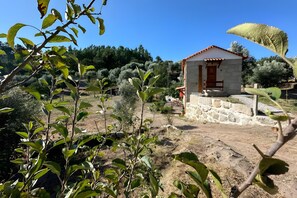 Property grounds - Country House 'Quinta Dos Mascarenhas' with Mountain View and Air Conditioning (Oliveira do Hospital)