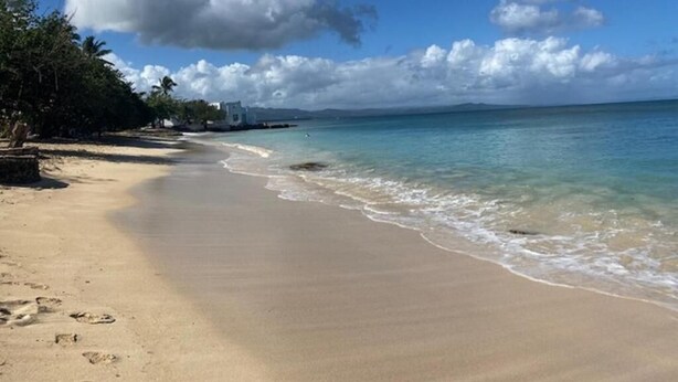 Ein Strand mit klarem türkisblauem Wasser, einem sandigen Ufer und ein paar Gebäuden in der Ferne.