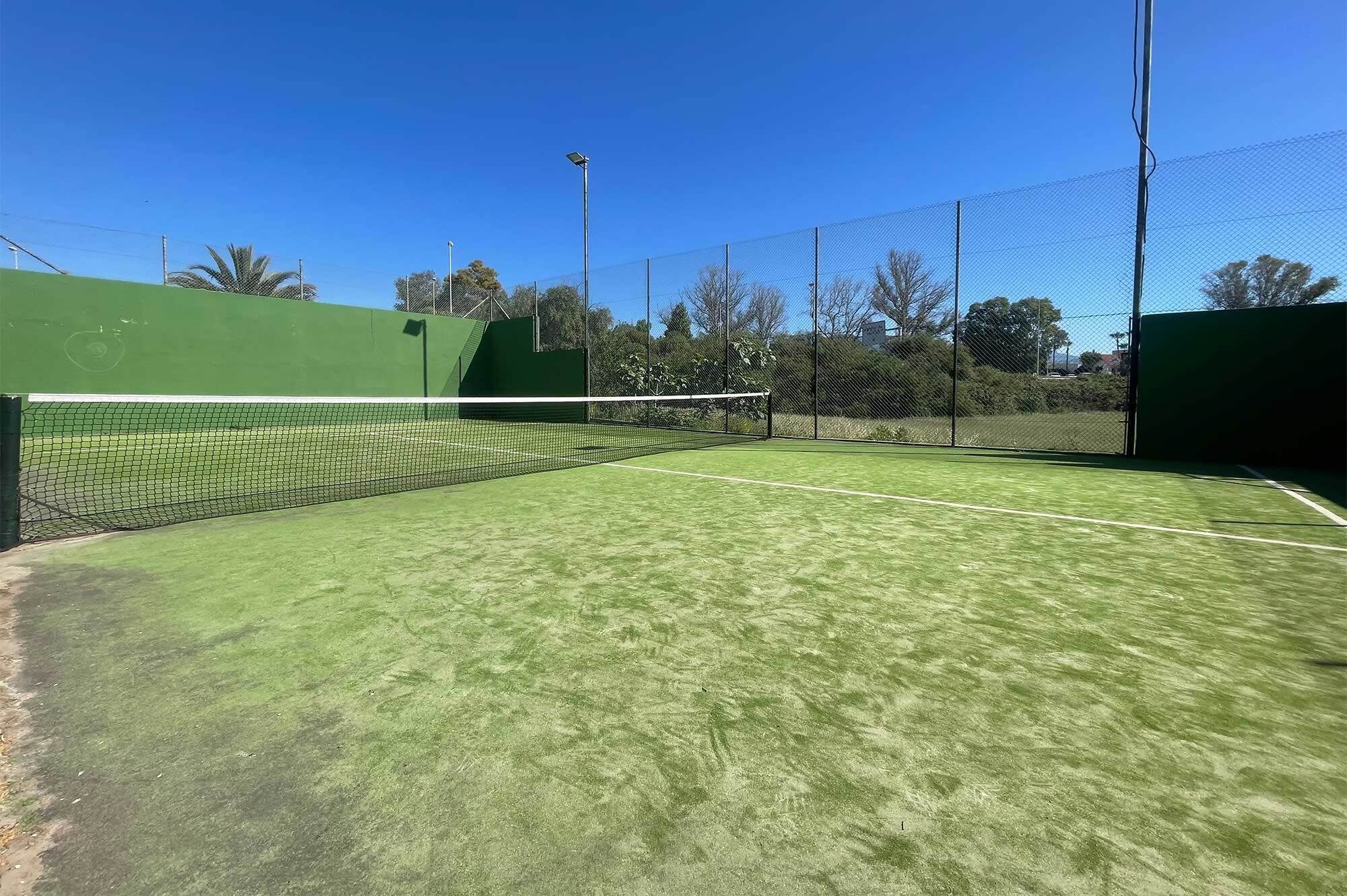 Un court de tennis en plein air, doté d’une surface verte, entouré d’une clôture en treillis métallique et bordé d’arbres en arrière-plan.