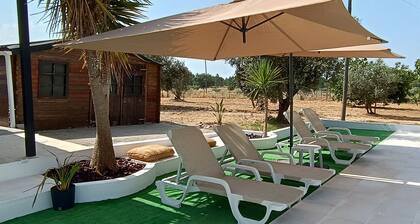 Quinta do Pinheirão - Rural Retreat with Private Pool in Ribatejo, Pet Friendly
