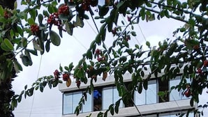 Un bâtiment moderne à deux étages, doté de grandes fenêtres et d’un toit plat.