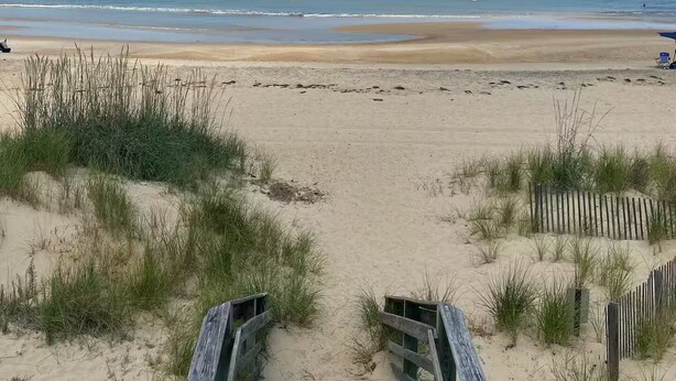Een strand met een houten vogelzangpad dat naar het water leidt, zandduinen en een heldere lucht.