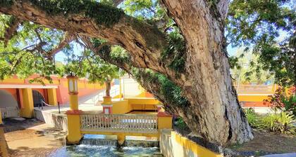 Charming studio with AC and WiFi in marvelous Aguadilla