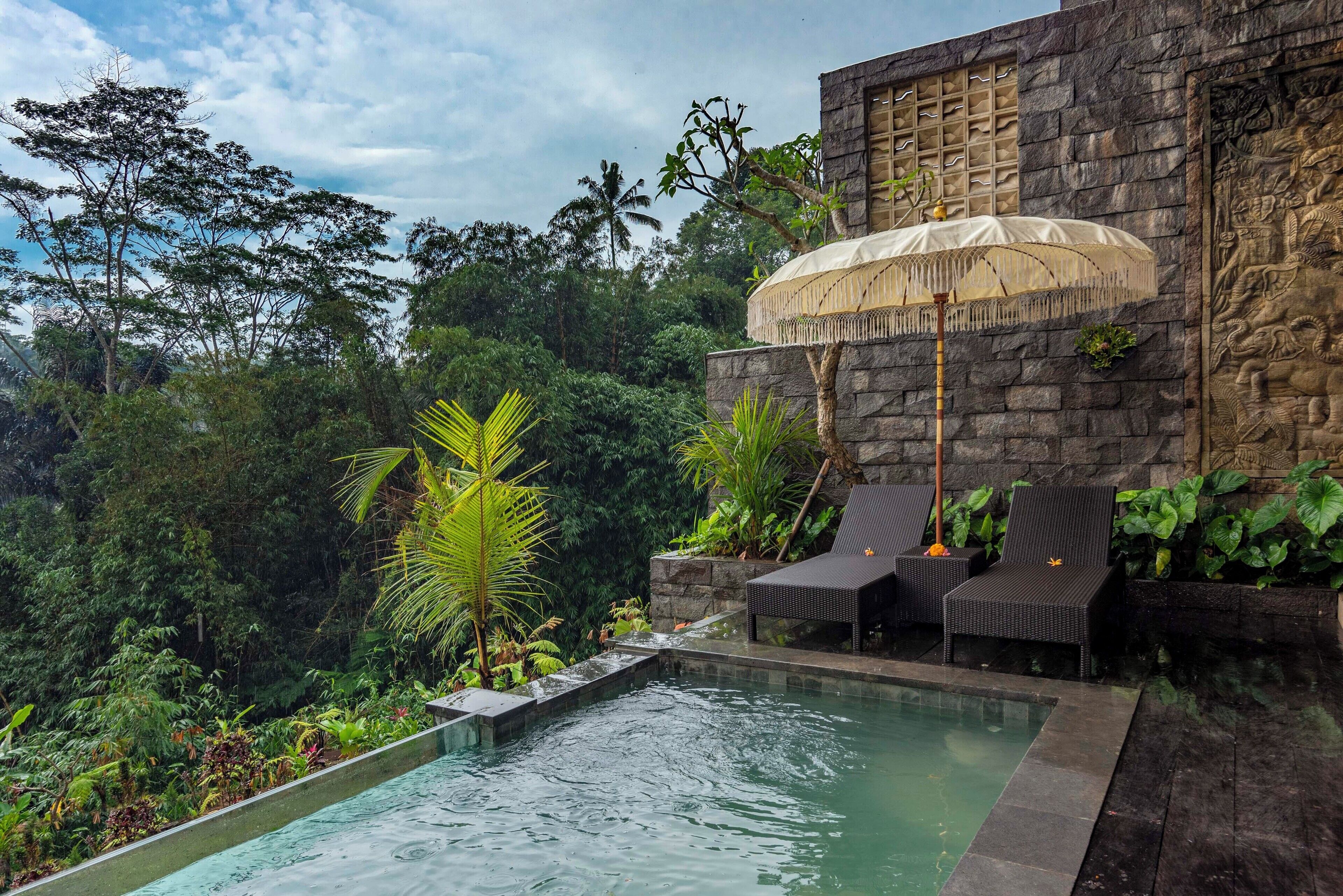 A pool with a stone wall and a hanging umbrella, surrounded by lush greenery and a view of the forest.
