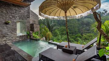 One Bedroom Private pool villa with Valley View | Private pool
