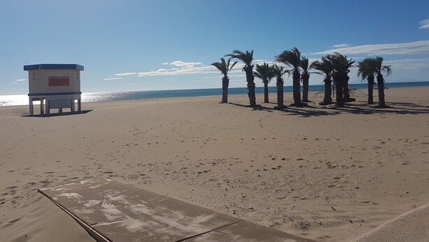 A beach with a lifeguard tower, palm trees, and a clear sky.