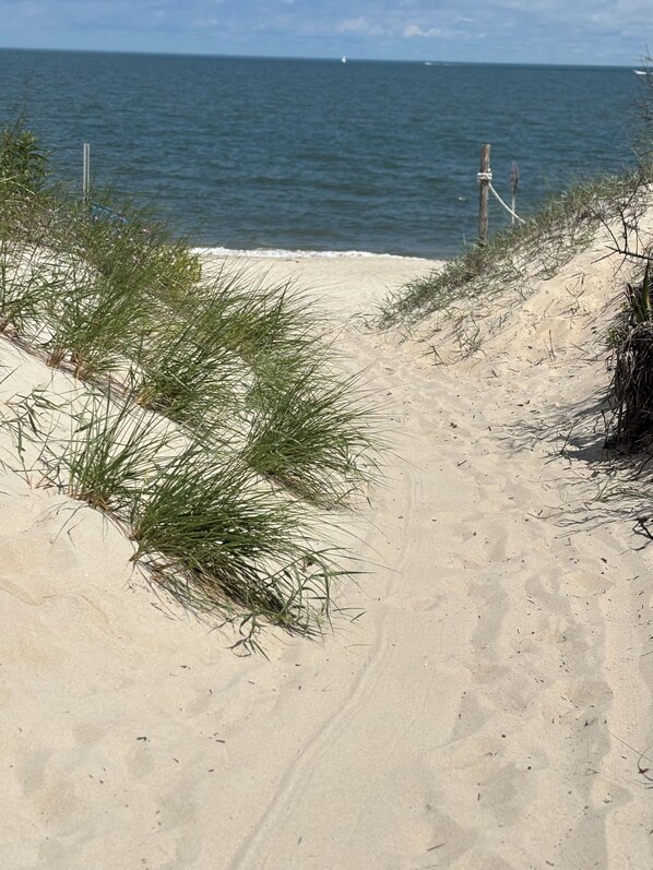 Strand