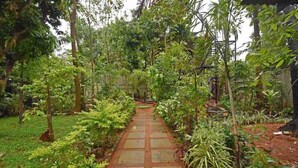 Ein Gartenpfad mit verschiedenen Pflanzen und Bäumen.