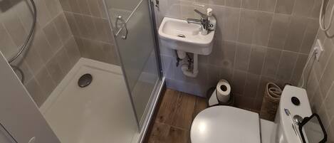 A bathroom with a glass-enclosed shower, a sink, and a toilet.