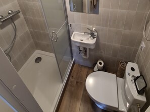 A bathroom with a glass-enclosed shower, a sink, and a toilet.